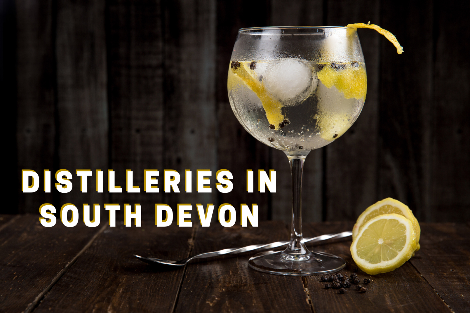 Distilleries in South Devon